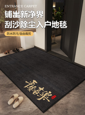 入户门地垫高级感2025新款进门灰色门口防滑耐脏地毯免打理蹭脚垫