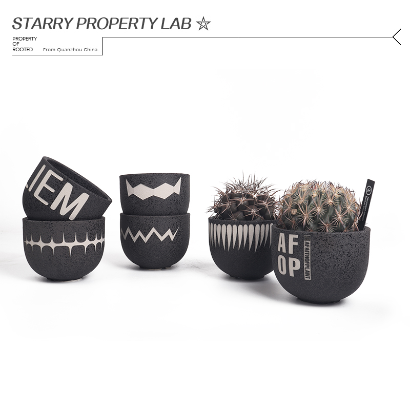 圆球潮流块根植物花盆仙人球兜象足漆树惠比须笑大黑象牙宫植木钵