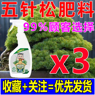 五针松肥黑松树盆景营养液罗汉松叶枯病药蓬莱松柏防针叶发黄