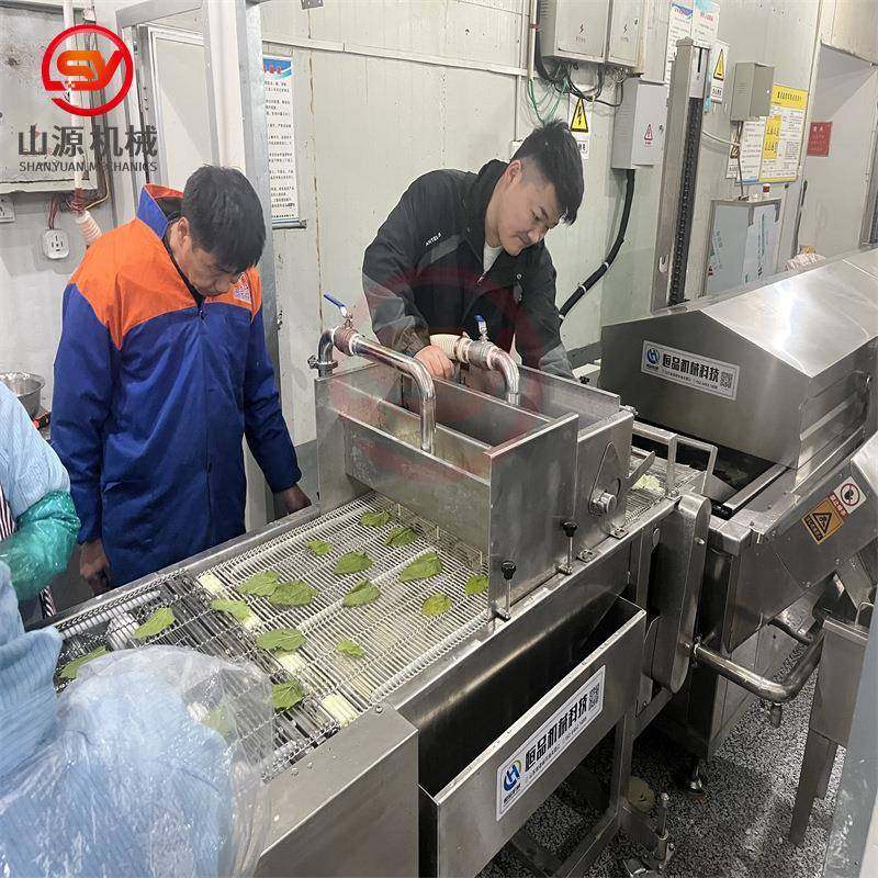 香酥翠叶上浆机 自动化挂糊裹浆机设备 预制菜桑叶挂浆机,清洗/食品/商业设备,休闲食品加工设备,淘宝优惠券,粉丝福利购,淘宝优惠卷
