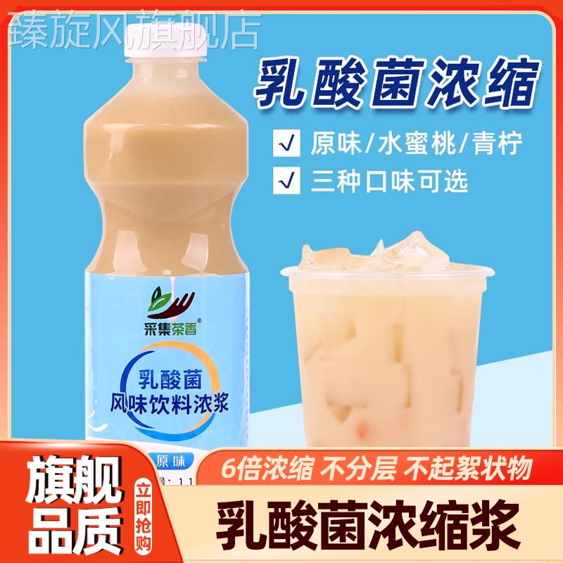 年货奶茶店专用优格养乐多风味浓缩乳酸菌速冲泡原料浓浆青柠商用