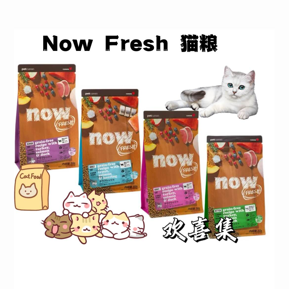 日本直邮now fresh猫粮无谷物火鸡三文鱼鸭肉海鲜混合猫干粮颗粒