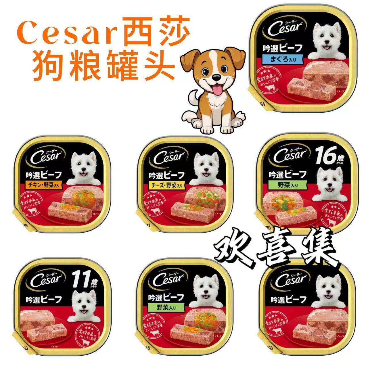 日本直邮Cesar西莎狗粮罐头主厨精选牛肉鸡肉羊肉自然素材狗零食
