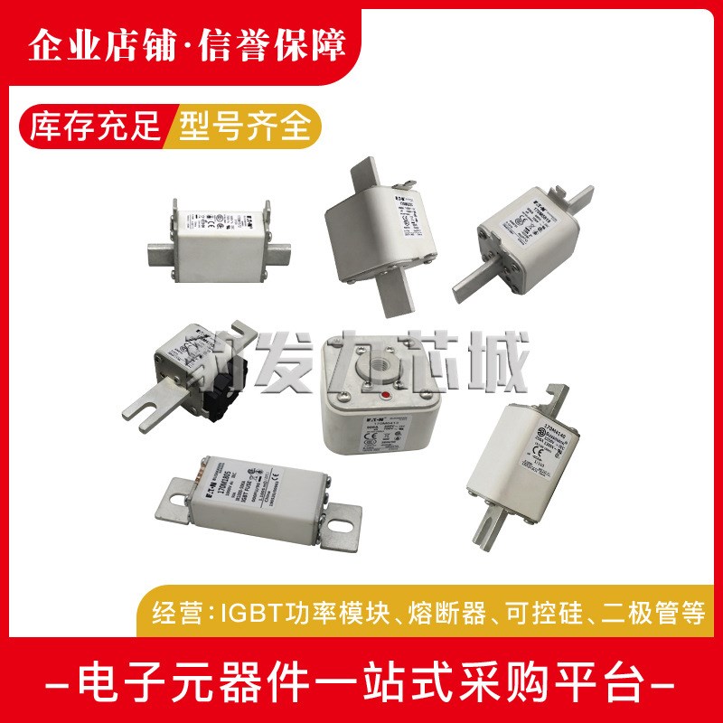 170M3716 170M3717/3718/3719/3720/3721/3722/3723全新熔断器