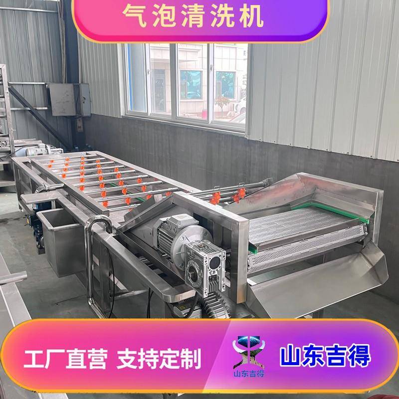 翻浪式酸枣仁果蔬清洗机酱菜脱盐清洗设备全自动西红柿辣椒清洗线