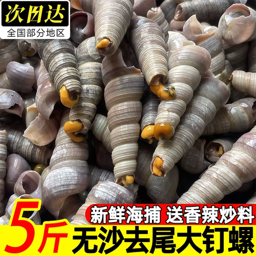 顺丰去尾大钉螺干净无沙酒店商用