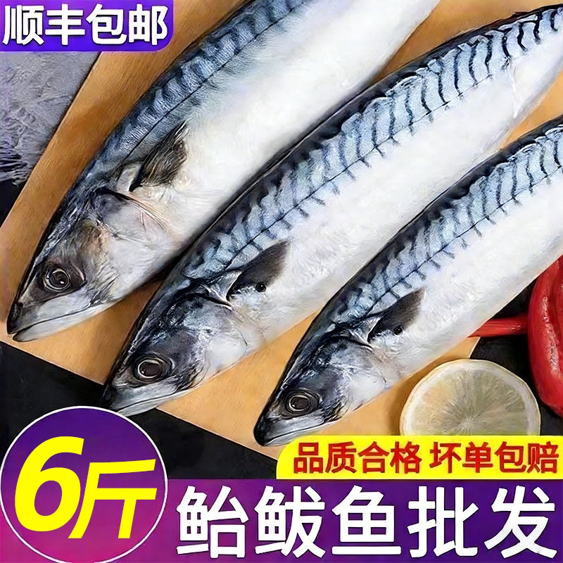 顺丰新鲜冷冻鲐鲅鱼马鲛鱼青花鱼