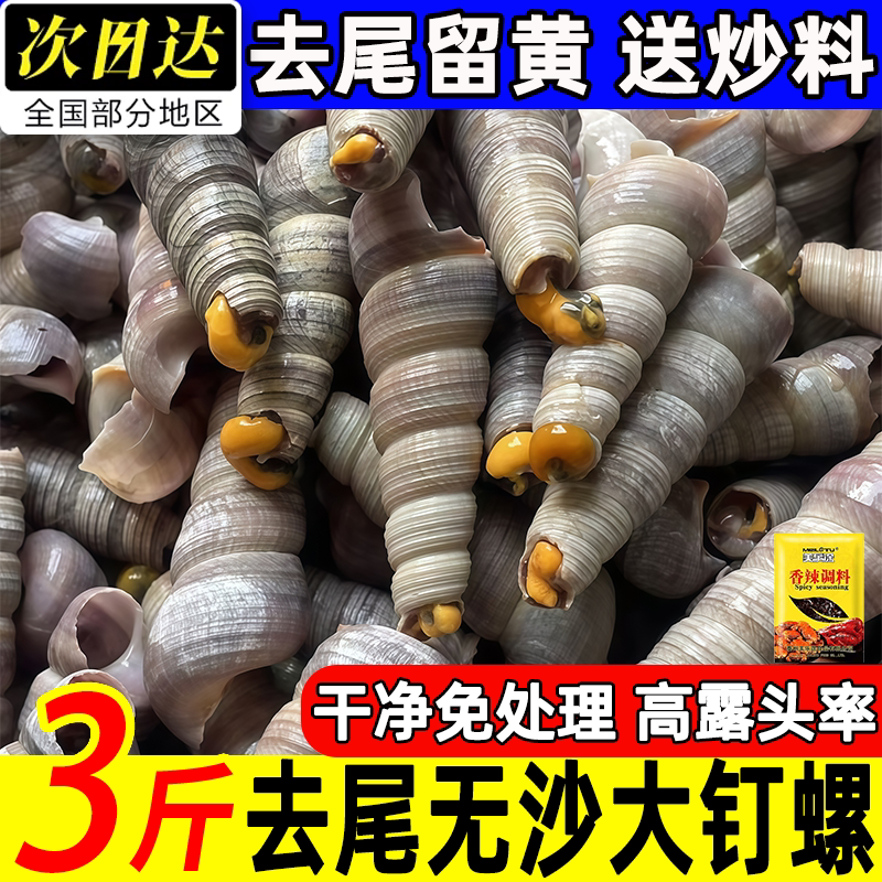 干净免处理大钉螺去尾留黄海螺送炒料高露头率海螺丝锥螺捞汁海鲜