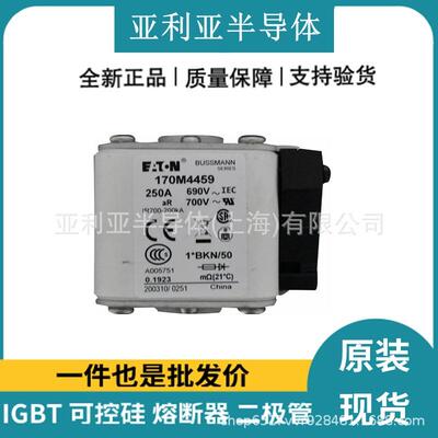 170M4410 170M4393 170M4459 断路器 电流保护 快速熔断器 原厂