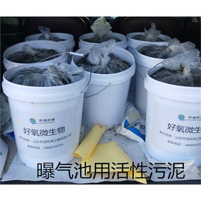 污水处理专用活性微生物