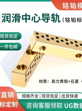 自润滑中心导轨导向条导向块导轨精密模配高力黄铜镶石墨MB10706