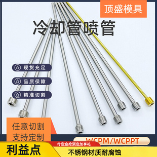 模具运水针WCPM2 4运水管直锥螺纹不锈钢铜冷却喷管 4WCPPT2