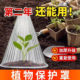 育苗牀包加厚幼苗植物钟罩大棚菜苗霜冻大号保护防虫罩育苗神器