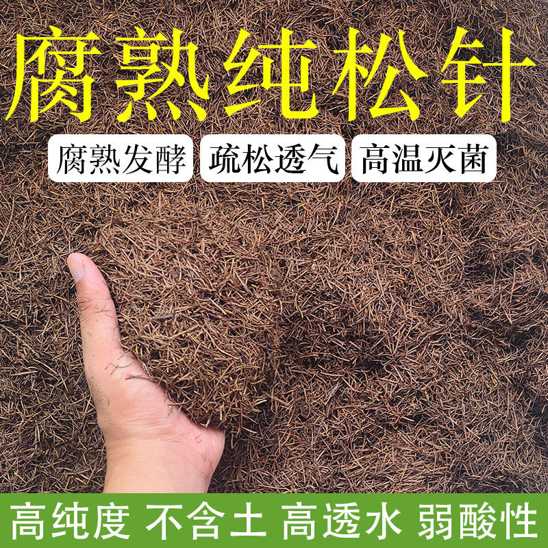 纯松针腐殖土君子兰专用