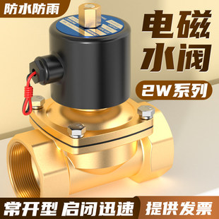 电磁阀常闭全铜4分水阀24V放水电动阀铜线开关控制器水气阀AC220V