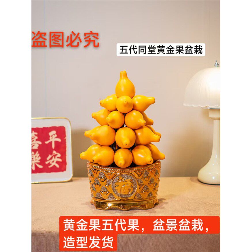 五代同堂果黄金果喜庆年宵佳品花材盆栽观果喜庆植物室内盆景鲜活