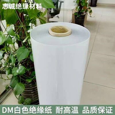 DM白色复合绝缘纸电机专