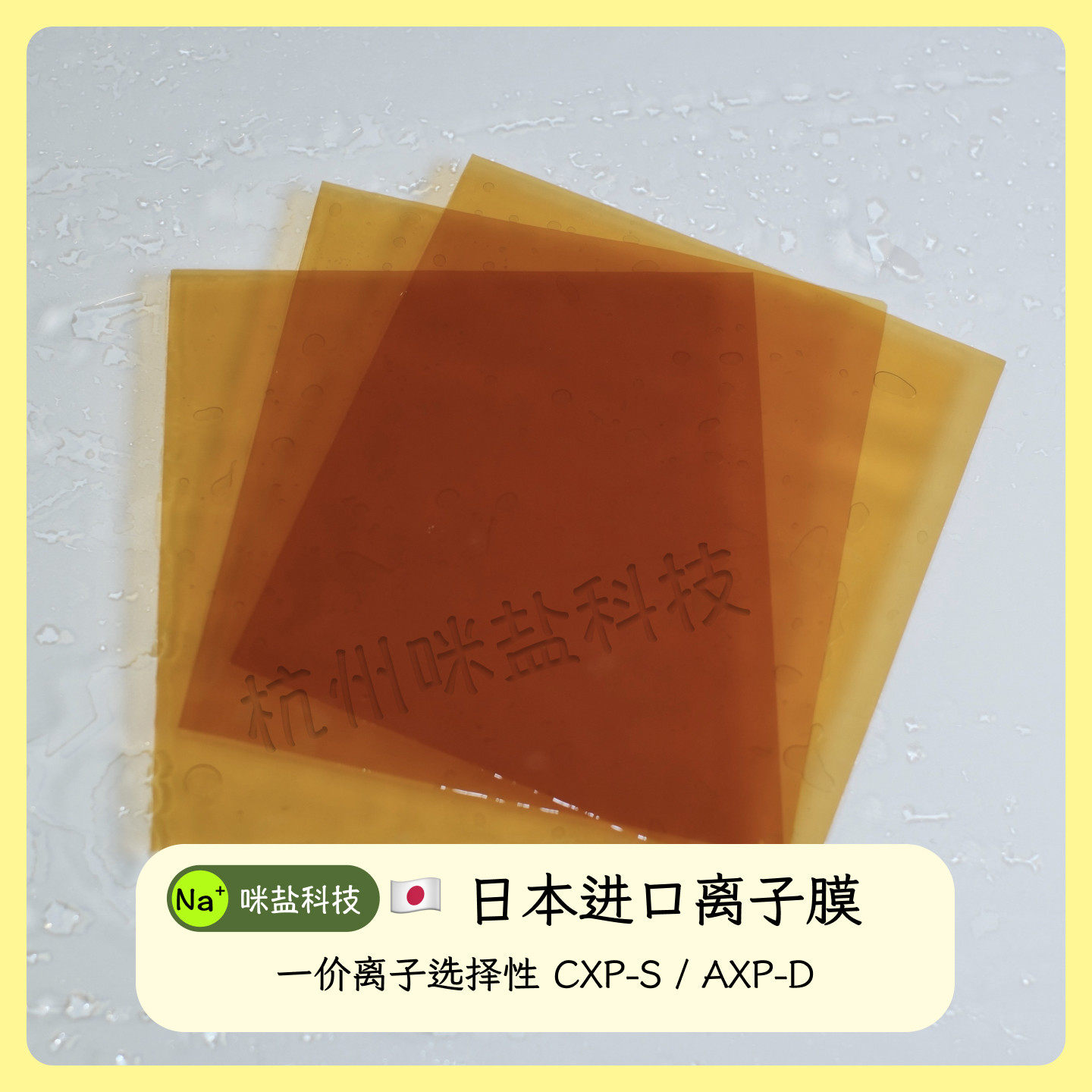 日本ASTOM一价单价阴阳离子选择性交换膜均相电解实验脱盐电渗析
