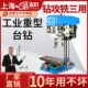 台钻工业级台式 钻床小型家用220V重型电钻攻铣一体机大功率多功能