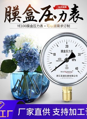 YE100燃烧机气压表0-25KPa 40KPa 60KPa 16KPaM20*1.5膜盒压力表