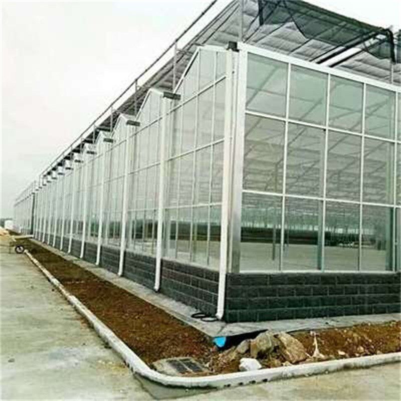 新型连栋实用型pc板玻璃温室大棚全自动控制钢管骨架设计智能温室