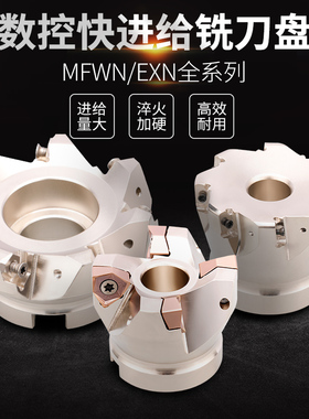 快进给刀盘90度双面六角平面铣刀盘WNMU080608刀片LNMU0303ZERMJ