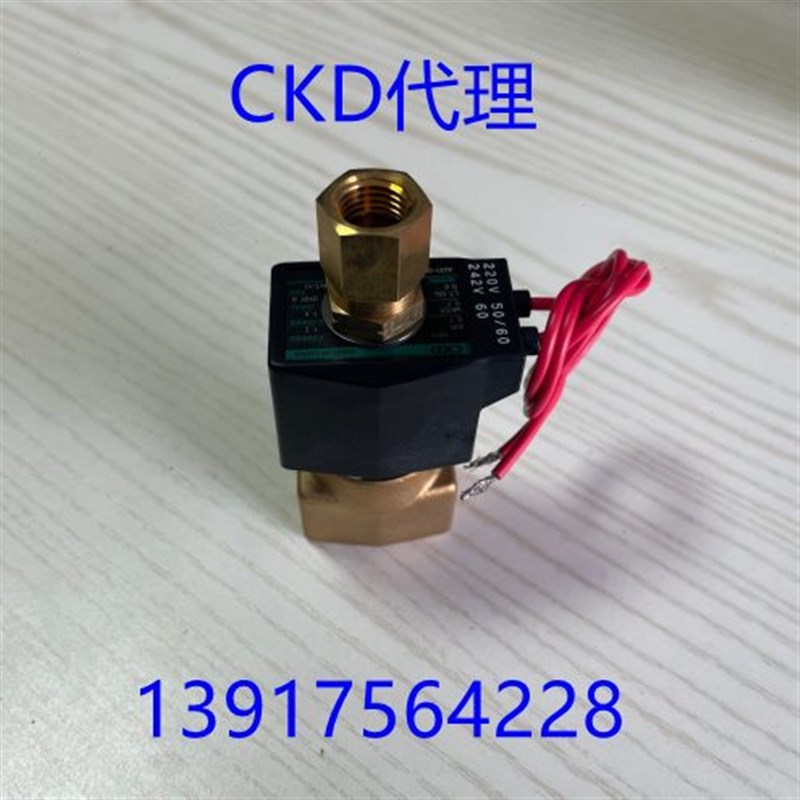 电磁 AG31-02-1--A220V AG31-02-1-02CE-DC24V AG3101-2-AC220V