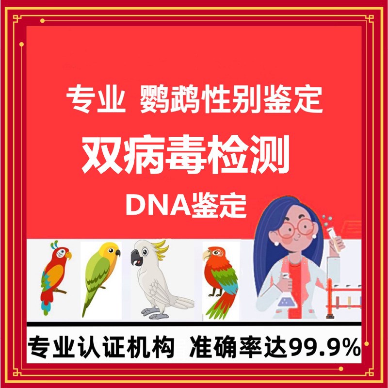 鹦鹉双病毒DNA性别鉴定禽类鸽子玄凤牡丹虎皮鸟类公母检测验卡