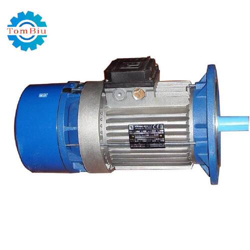 风能专用MGM偏航电机BA100LB4400/690V1415RPM变桨刹车电动机