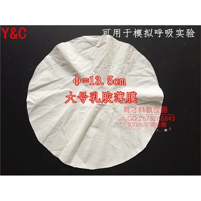 13.5cm模拟呼吸实验配套