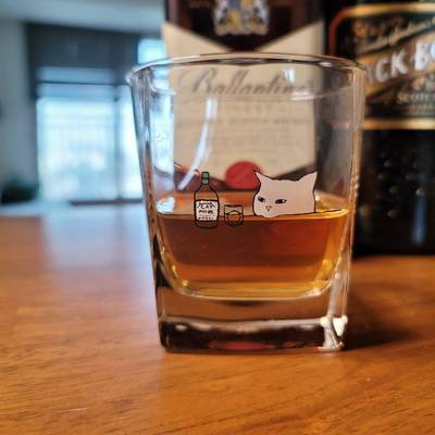 heyday 和你的小猫一起喝酒 猫咪玻璃威士忌酒杯子透明果汁杯礼物