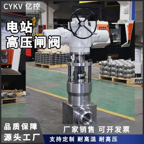 CYKV亿控电站高压闸阀Z61Y-2500LB-DN50厂家直销耐高温耐高压
