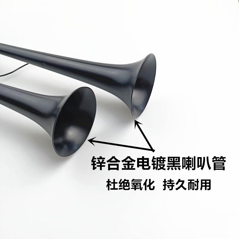 货车气喇叭12v24v小斯堪尼亚声喇叭金属双音双管改装爆响乐音喇叭