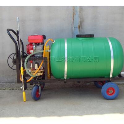 城市绿化机动喷雾机棚栽的植保设备打药机进口果园弥雾机
