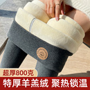 东北特厚打底裤女外穿秋冬款加绒加厚保暖裤内穿大码秋裤棉裤女款