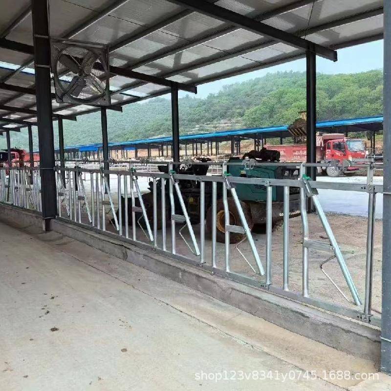 牛颈枷牛头锁牛颈架镀锌多尺寸耐腐蚀坚固牛场设备源头工厂