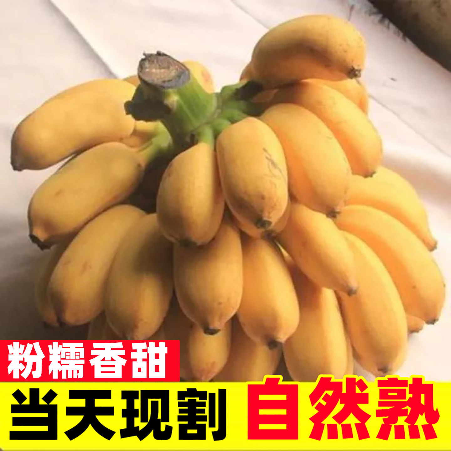 广西小米蕉5斤新鲜水果包邮现摘小香芭蕉苹果蕉甜香蕉整箱自然熟,水产肉类/新鲜蔬果/熟食,香蕉,淘宝优惠券,粉丝福利购,淘宝优惠卷