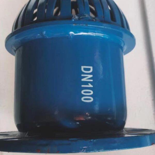 H42X-6/10法兰底阀止回阀水泵用大通水量花篮头DN50DN65DN80DN100