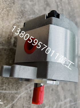 齿轮泵P101RP01G P102RP01G P127RP01G P135RP01G P104RP01G GT