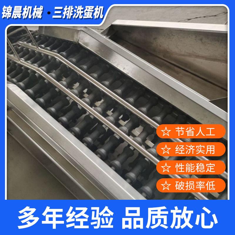 单排双排蛋类清洗机全自动蛋品清洗机不锈钢高压喷淋洗蛋机