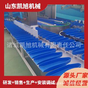 全自动草莓西红柿称重分级分选机 竹笋自动重量筛选机 节省人工