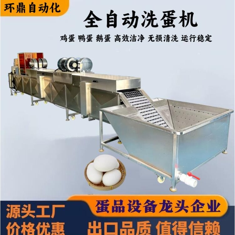 全自动洗蛋机 鸡蛋雅典娜鹅蛋清洗流水线 保洁蛋脏蛋清洗设备