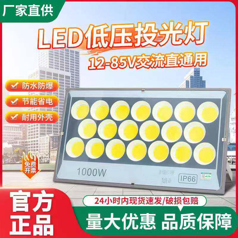 亚明投光灯低压船用直流电瓶12V24V36V100W电瓶户外防水泛光灯
