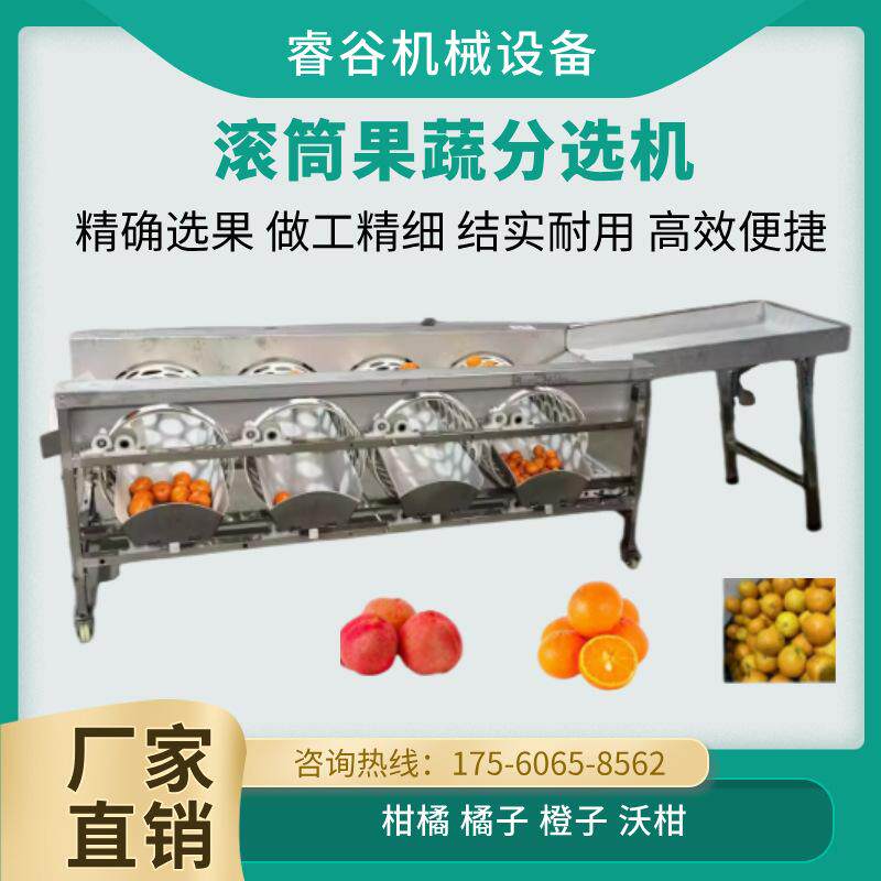 滚筒水果分选机分级机橙子柑橘贡柑类机筛分机椭圆形蔬果分级设备