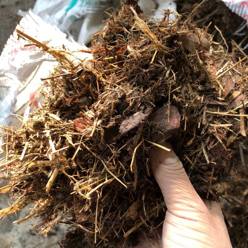 甘蔗叶花肥腐殖土有机肥粉碎机自动喂料滤饼打散机菌菇渣破碎机