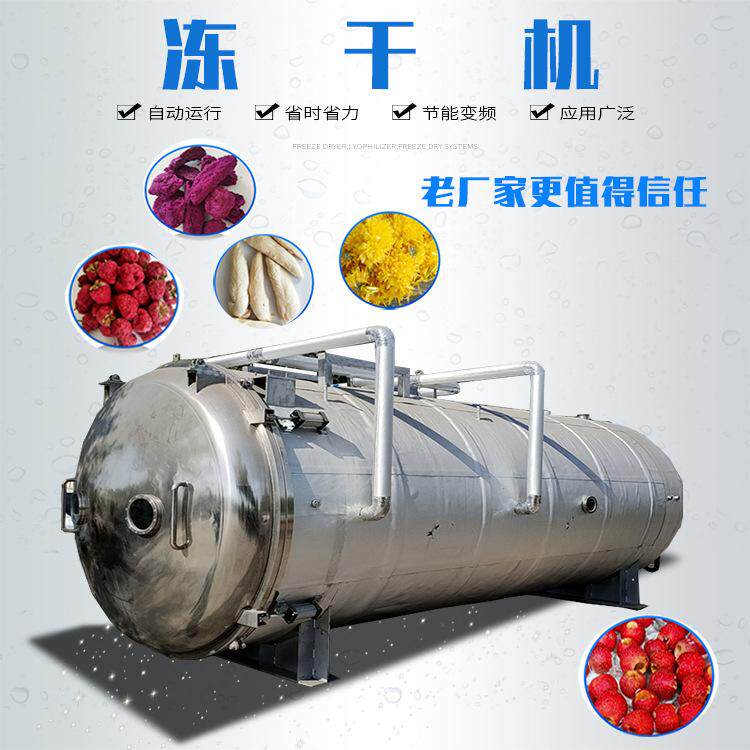 水果真空冻干机全自动商用不锈钢蔬菜冷冻干燥机药材冻干设备