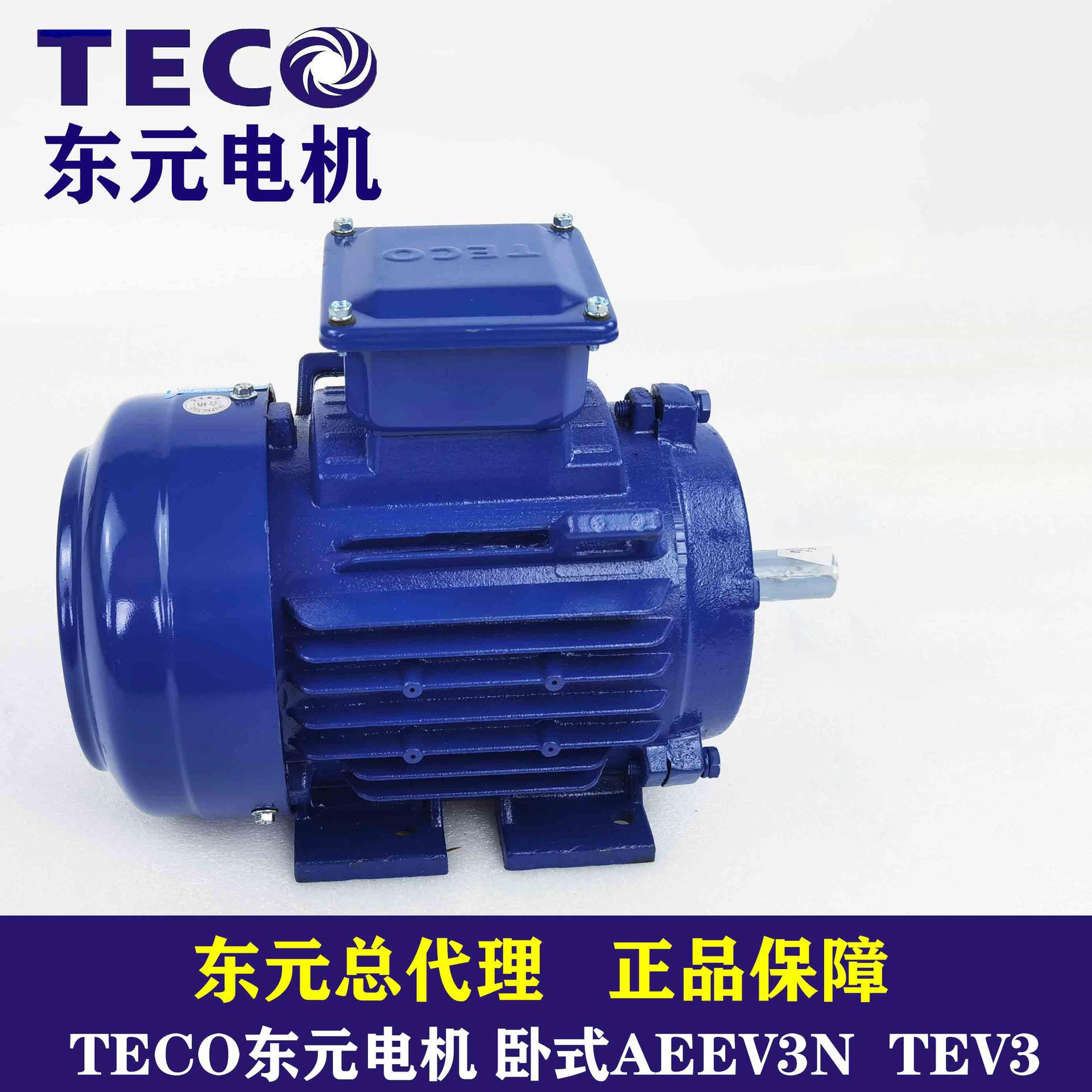 现货直发立卧式三相小型调速电机TECO电机