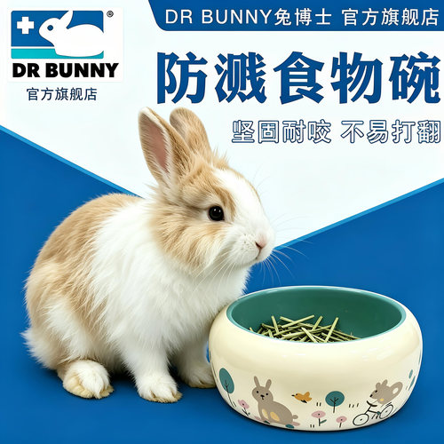 防溅食物碗兔子豚鼠龙猫陶瓷食盆