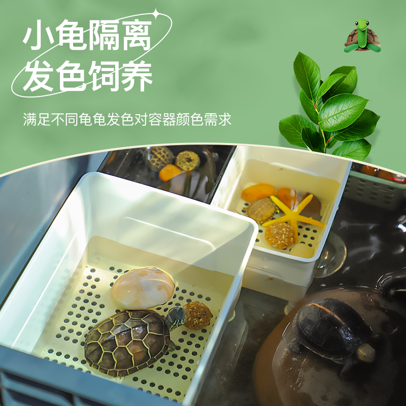 小乌龟隔离盒龟苗黑白发色盒孔雀鱼幼鱼苗鱼缸繁殖盒饲养盒多功能