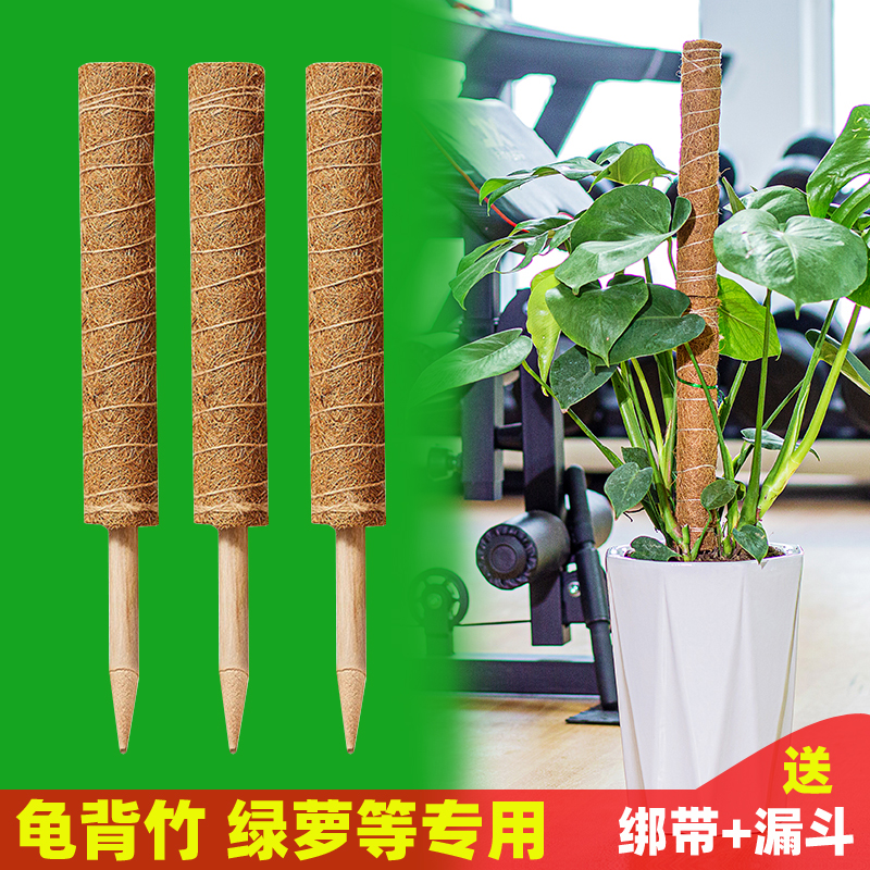 龟背竹绿萝攀爬专用植物支撑杆花支架防倒伏绿植固定器爬藤椰棕棒